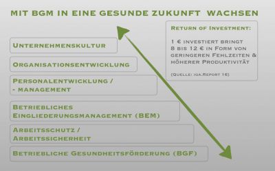 Ganzheitliche und systematische Prozessbegleitung & -betreuung im strategischen BGMProzess